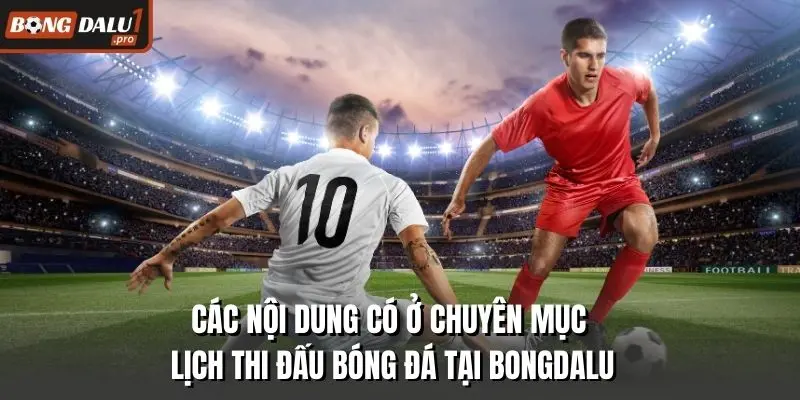 Các nội dung có ở chuyên mục lịch thi đấu bóng đá tại Bongdalu